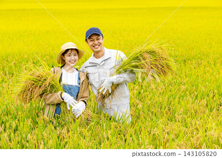 A portrait of a couple harvesting rice amidst the rice fields. A portrait of a couple harvesting rice amidst the rice fields. 143105820
