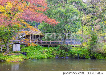 宮崎縣高千穗峽,秋色絢麗,美不勝收。 宮崎縣高千穗峽,秋色絢麗,美不勝收。 143105837