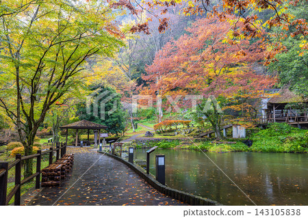 宮崎縣高千穗峽,秋色絢麗,美不勝收。 宮崎縣高千穗峽,秋色絢麗,美不勝收。 143105838