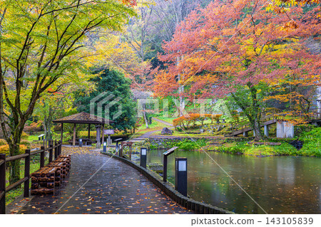 宮崎縣高千穗峽,秋色絢麗,美不勝收。 宮崎縣高千穗峽,秋色絢麗,美不勝收。 143105839
