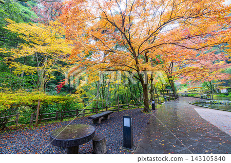 宮崎縣高千穗峽,秋色絢麗,美不勝收。 宮崎縣高千穗峽,秋色絢麗,美不勝收。 143105840