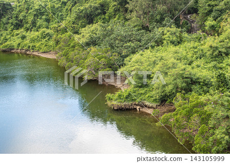 Mangroves of the Hija River in Kadena Town, Okinawa Prefecture Mangroves of the Hija River in Kadena Town, Okinawa Prefecture 143105999