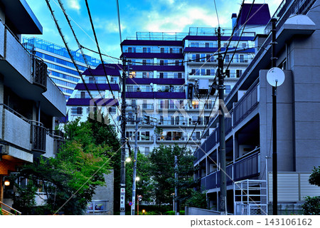 東京澀谷區,清晨,南平台町,一棟位於安靜高級住宅區的高樓公寓。 東京澀谷區,清晨,南平台町,一棟位於安靜高級住宅區的高樓公寓。 143106162