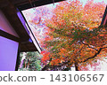 Ancient Capital (Kamakura in Autumn) 143106567