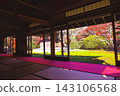 Ancient Capital (Kamakura in Autumn) 143106568