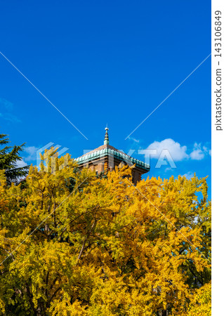 [Kanagawa Prefecture] Ginkgo trees adorn the Kanagawa Prefectural Government Main Building in Yokohama. 143106849
