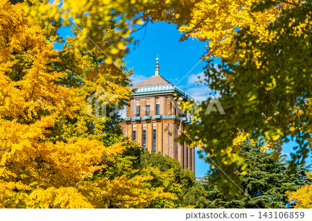 [Kanagawa Prefecture] Ginkgo trees adorn the Kanagawa Prefectural Government Main Building in Yokohama. 143106859
