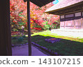 Ancient Capital (Kamakura in Autumn) 143107215