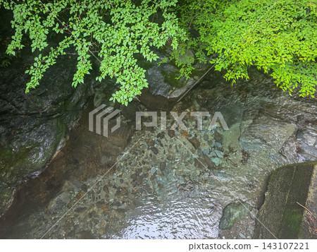 Moss-covered valleys and lush green streams Moss-covered valleys and lush green streams 143107221