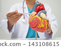 Cardiovascular disease CVD, doctor with heart human model anatomy for treatment patient in hospital. 143108615