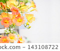 清爽的橘色凌霄花 143108722