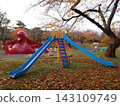 Autumn park, slide Autumn park, slide 143109749