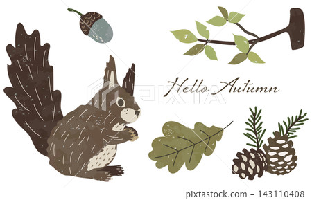 秋日森林中植物和松鼠的插圖 秋日森林中植物和松鼠的插圖 143110408