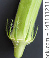 Okra calyx 143111231
