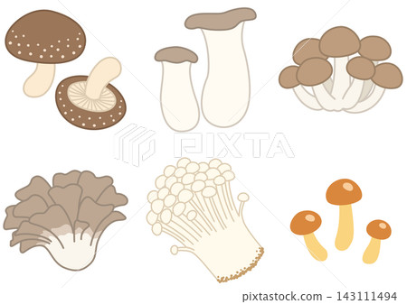 Autumn Delicacies: Commercially Available Mushrooms Autumn Delicacies: Commercially Available Mushrooms 143111494