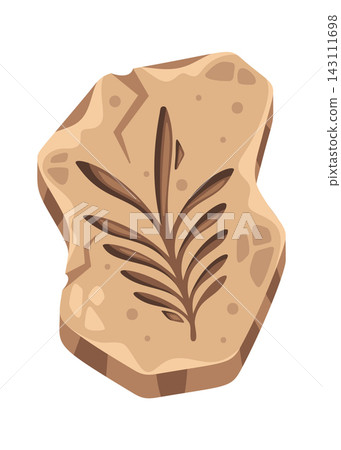 Fossil Leaf Imprint Cartoon Style Fossil Leaf Imprint Cartoon Style 143111698
