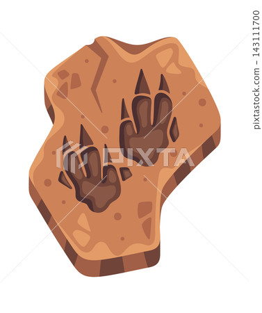 Dinosaur Footprint Fossil Cartoon Style Dinosaur Footprint Fossil Cartoon Style 143111700