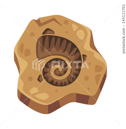 Fossil Ammonite In Rock Cartoon Style Fossil Ammonite In Rock Cartoon Style 143111701