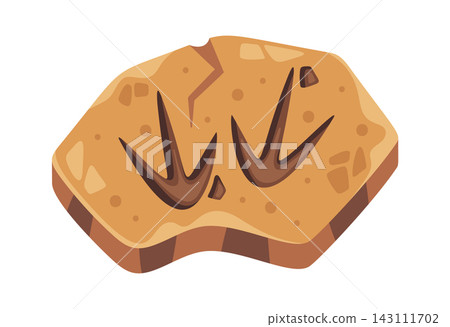 Dinosaur Footprint Fossil Cartoon Style 143111702
