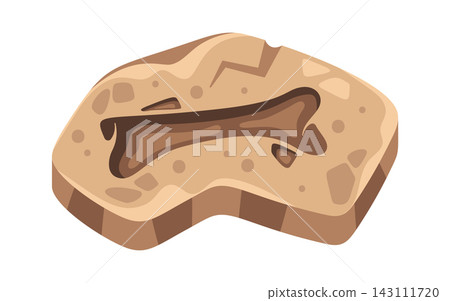 Dinosaur Footprint Fossil Cartoon Style 143111720