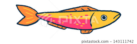 Sardine Swimming Side View Cartoon Style Sardine Swimming Side View Cartoon Style 143111742