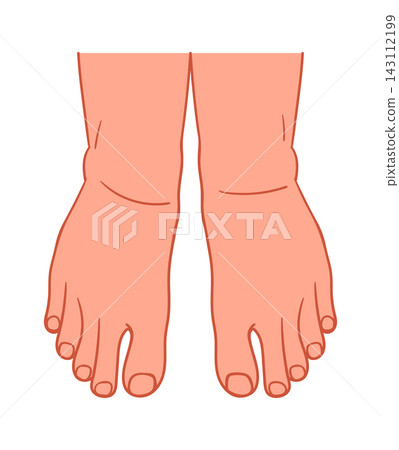 Foot Anatomy Front View Cartoon Style Foot Anatomy Front View Cartoon Style 143112199