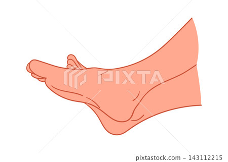 Foot Side View Anatomy Line Art Foot Side View Anatomy Line Art 143112215