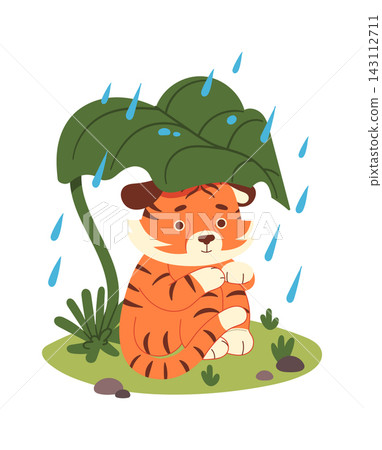 Tiger Cub Sheltering From Rain Cartoon 143112711