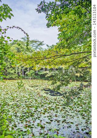 Konburo池塘自然博物館公園 Konburo池塘自然博物館公園 143113184