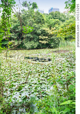 Konburo池塘自然博物館公園 Konburo池塘自然博物館公園 143113295