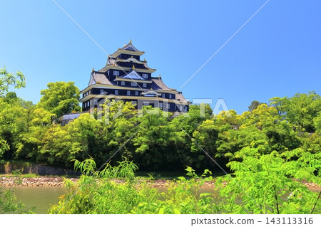 【岡山縣】春季岡山城與旭川(春季鳥場燈籠節) 【岡山縣】春季岡山城與旭川(春季鳥場燈籠節) 143113316