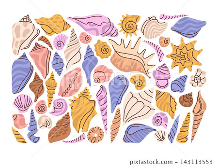 Seashell Collection Pattern Coastal Doodle Seashell Collection Pattern Coastal Doodle 143113553