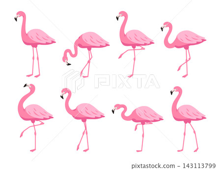 Flamingo Poses Collection Standing And Walking Cartoon Flamingo Poses Collection Standing And Walking Cartoon 143113799