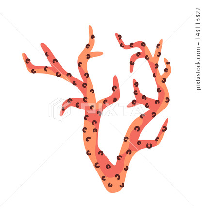 Coral Branch With Polyps Cartoon Style Coral Branch With Polyps Cartoon Style 143113822