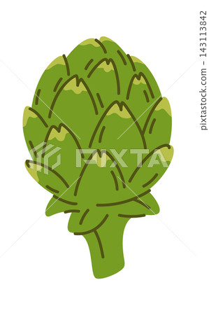Artichoke Whole Vegetable Hand Drawn Cartoon Artichoke Whole Vegetable Hand Drawn Cartoon 143113842