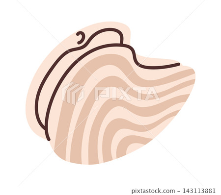 Seashell Abstract Wave Lines Cartoon 143113881