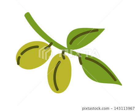 Olive Branch With Fruit Cartoon Style Olive Branch With Fruit Cartoon Style 143113967