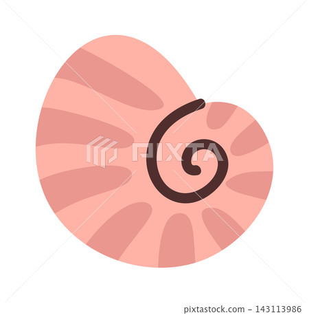 Seashell Spiral Nautilus Symbol Cartoon 143113986