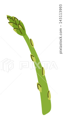 Asparagus Spear Fresh Produce Cartoon Asparagus Spear Fresh Produce Cartoon 143113993