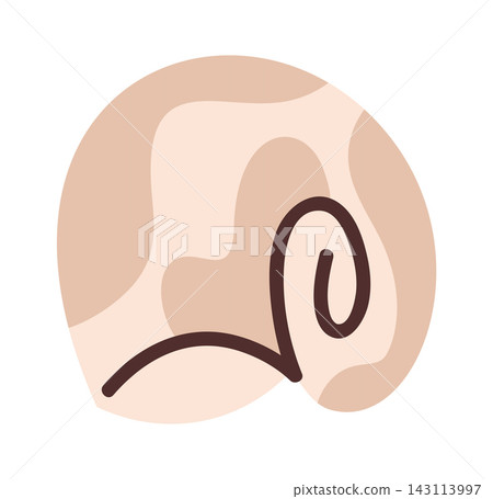 Rounded Spiral Seashell Marine Element Cartoon Rounded Spiral Seashell Marine Element Cartoon 143113997