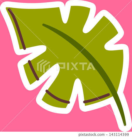 Monstera Leaf With Bold Outline Cartoon Monstera Leaf With Bold Outline Cartoon 143114399