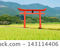 The torii gate of Sugawara Shrine stands amidst the rich rural landscape of Ebino City, Miyazaki Prefecture. 143114406