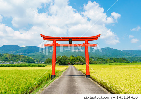 菅原神社的鳥居矗立在宮崎縣惠比野市美麗的鄉村景觀之中。 143114410