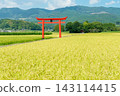 The torii gate of Sugawara Shrine stands amidst the rich rural landscape of Ebino City, Miyazaki Prefecture. 143114415