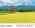 The torii gate of Sugawara Shrine stands amidst the rich rural landscape of Ebino City, Miyazaki Prefecture. 143114417