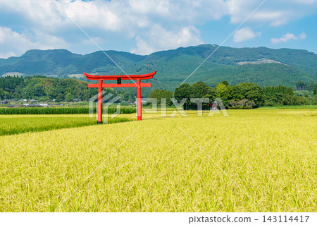 菅原神社的鳥居矗立在宮崎縣惠比野市美麗的鄉村景觀之中。 菅原神社的鳥居矗立在宮崎縣惠比野市美麗的鄉村景觀之中。 143114417