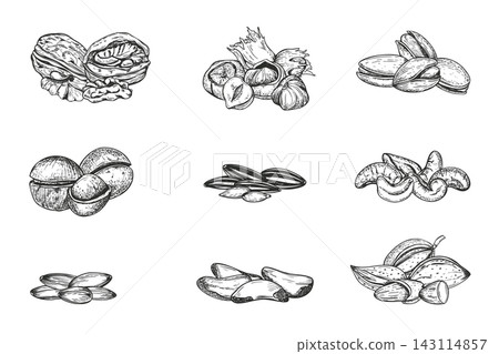 set of various nuts hand drawn black ink vector illustration. Walnut, hazelnut, almond, pistachio, cashew, Brazil nut, sunflower seed, pumpkin seed and macadamia clip art. Monochrome food sketch set of various nuts hand drawn black ink vector illustration. Walnut, hazelnut, almond, pistachio, cashew, Brazil nut, sunflower seed, pumpkin seed and macadamia clip art. Monochrome food sketch 143114857