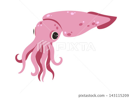 Squid Swimming Side View Cartoon Style Squid Swimming Side View Cartoon Style 143115209