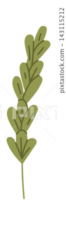 Wheat Ear Botanical Element Cartoon Style 143115212