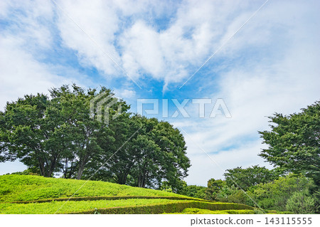 Chiba Prefectural Kashiwanoha Park Chiba Prefectural Kashiwanoha Park 143115555